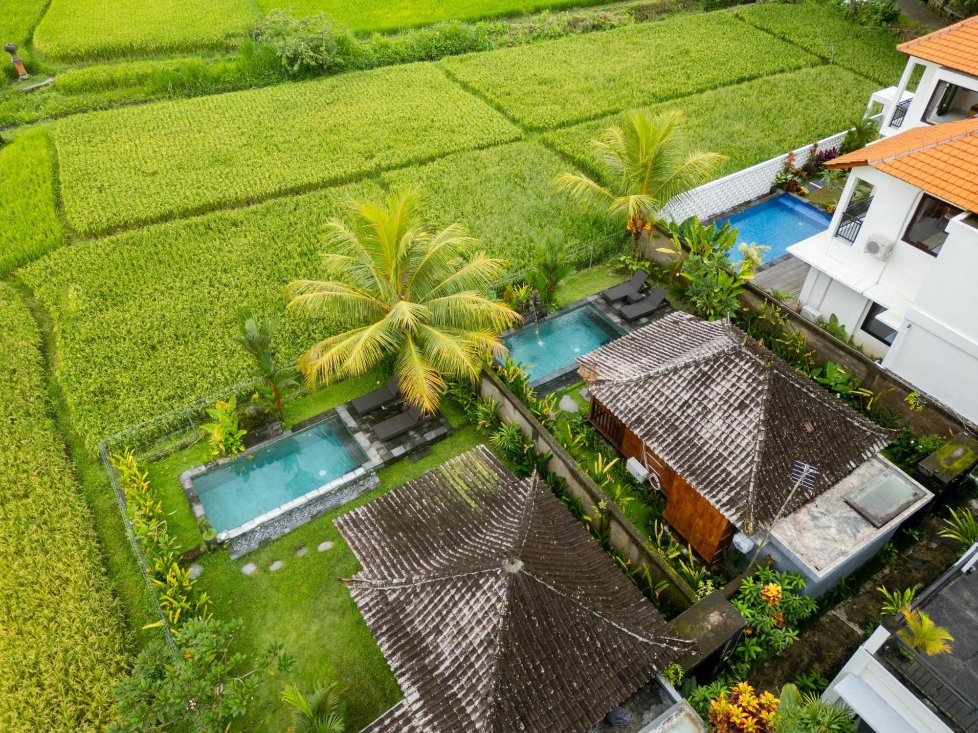 Mardika Private Villa Ubud Exteriör bild